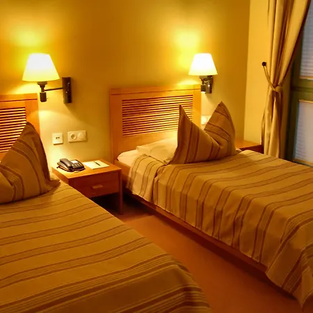 Hotel Albergo Hotel 4*